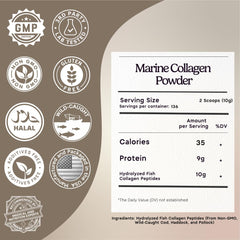 Zen Principle Marine Collagen Powder scoop beside a glass for measuring.