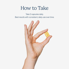 Zenwise No Bloat blend of turmeric and ginger for digestive comfort.