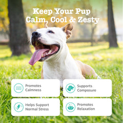 Zesty Paws Calming Chews Suntheanine ingredient detail highlighting calm moments for anxious dogs.