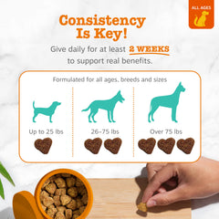 Zesty Paws Calming Chews Valerian Root visible, supporting a relaxed mood during loud events.