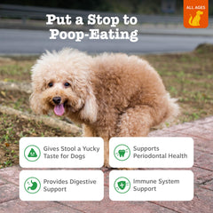 Zesty Paws Chew No Poo Bites soft chews close-up, tasty texture for daily use.