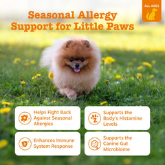 Zesty Paws allergy relief chews bottle side highlighting ingredients and immune support.