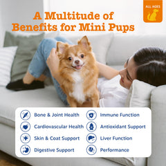 Close-up of hip joint chews from Zesty Paws for mobility assistance.
