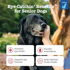 Zesty Paws lutein-zeaxanthin blend supports eye function in dogs.