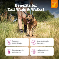 Zesty Paws Hip and Joint chews close-up highlights soft texture for easy chewing.