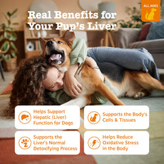 Zesty Paws Liver Support Bites with turmeric for canine wellness and absorption