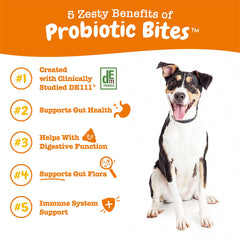 Zesty Paws DE111 ingredient list highlighting probiotic strains for digestion.