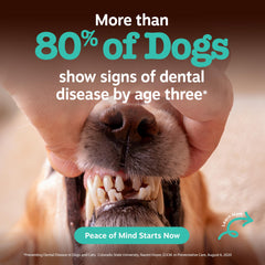 Zesty Paws ToothArmor probiotic blend for dogs promotes oral health and fresh breath.