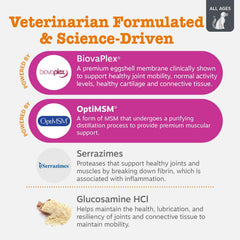 Zesty Paws Vet Strength Mobility Bites glucosamine-chondroitin blend for joint health.