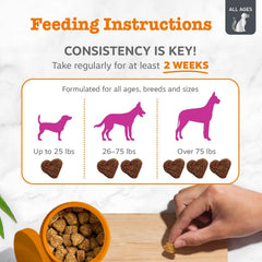 Zesty Paws Vet Strength Mobility Bites with OptiMSM for better muscle support.
