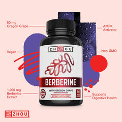 ZHOU Berberine product highlighting gut health and digestion support.