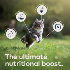 ZIWI Chicken Recipe free-range chicken image signals ethical sourcing