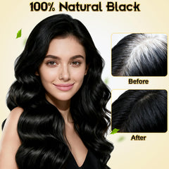 ZIXSIRP gray hair before-after shows natural-looking color.