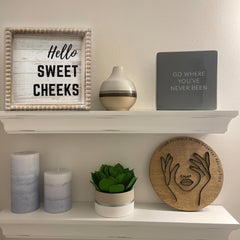 ZLFart toilet rules shelf decor sign clarifies bathroom etiquette with playful flair.