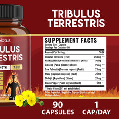 Zolotus Saw Palmetto Maca image highlights daily vitality.