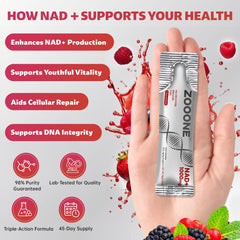 Zooone NAD+ ingredients closeup spotlights NR and resveratrol for potential cellular support.