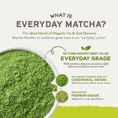 21 Sencha Eveyrday baked goods dusted with matcha powder.