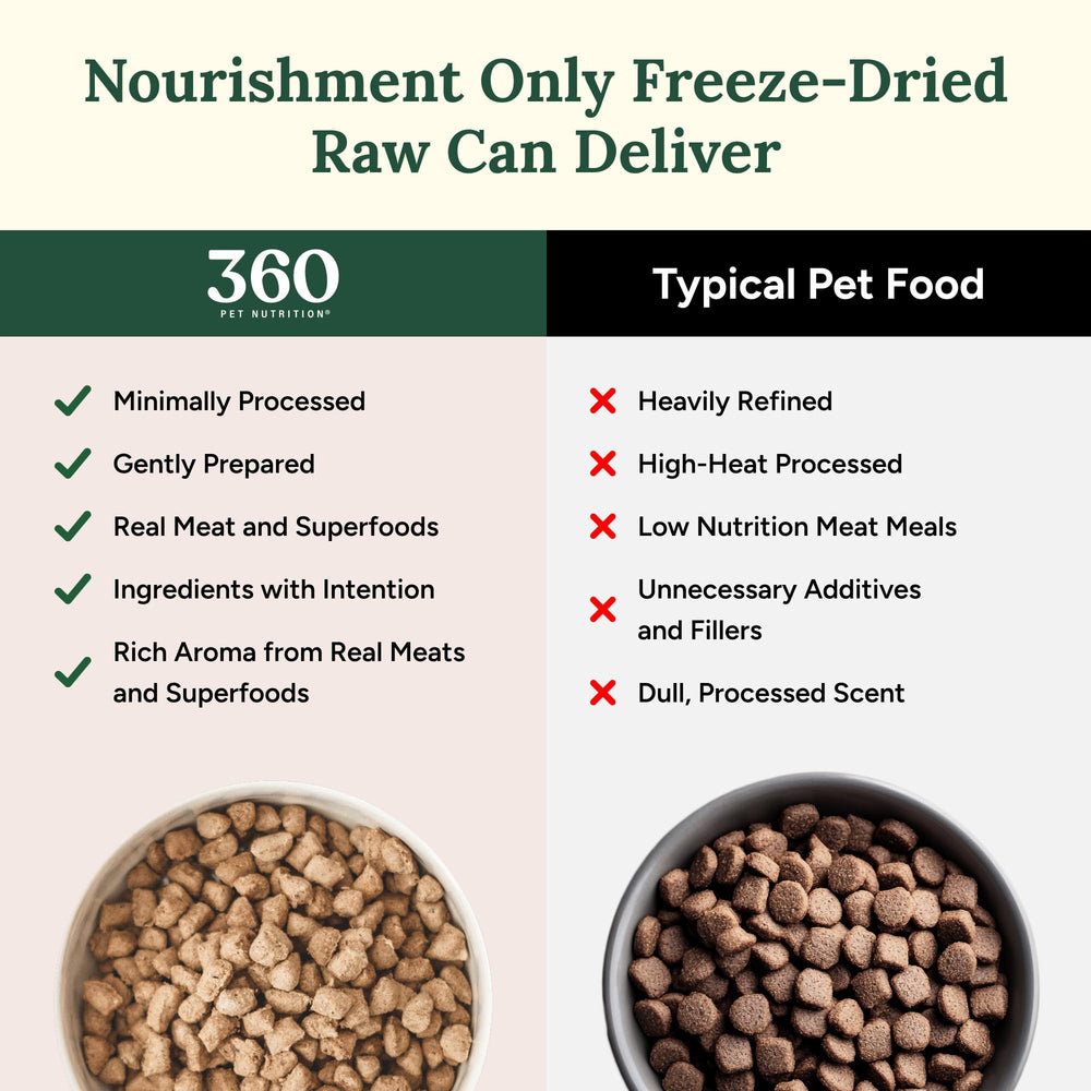 360 Pet Nutrition scoop and bowl displaying bite-sized pieces for easy feeding