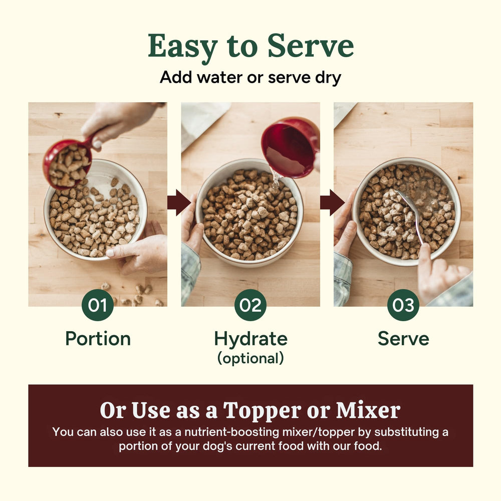 360 Pet Nutrition close-up of ingredients—real meats, fruits, vegetables, and seeds for balance.