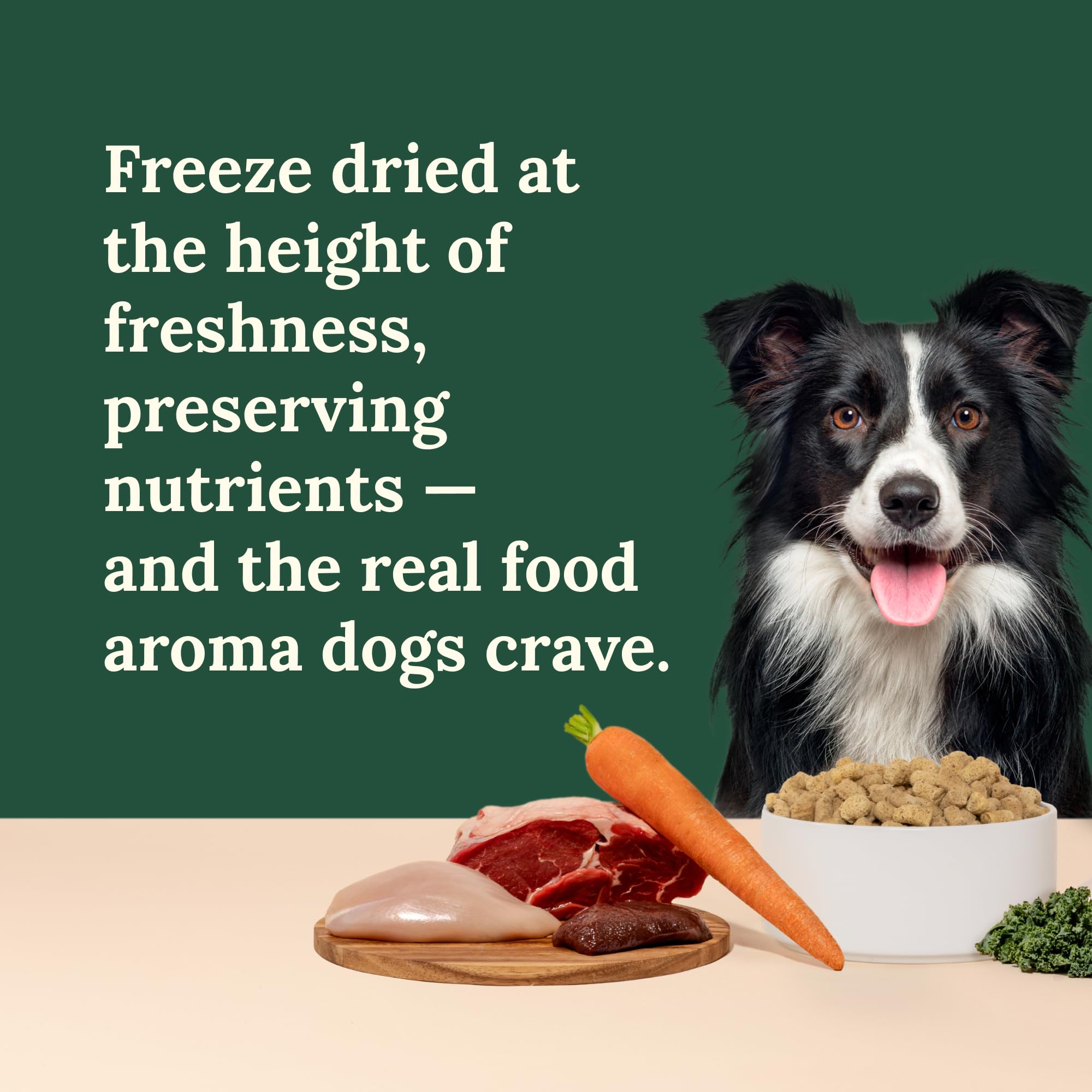 360 Pet Nutrition no refrigeration needed label indicates storage-friendly raw nutrition