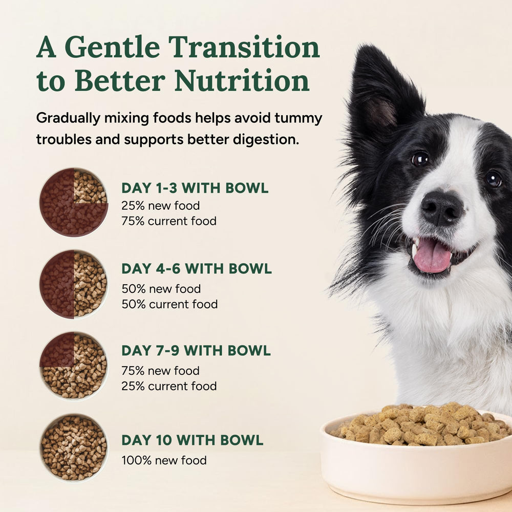 360 Pet Nutrition omega-3 rich mix highlights healthy fats for skin and coat