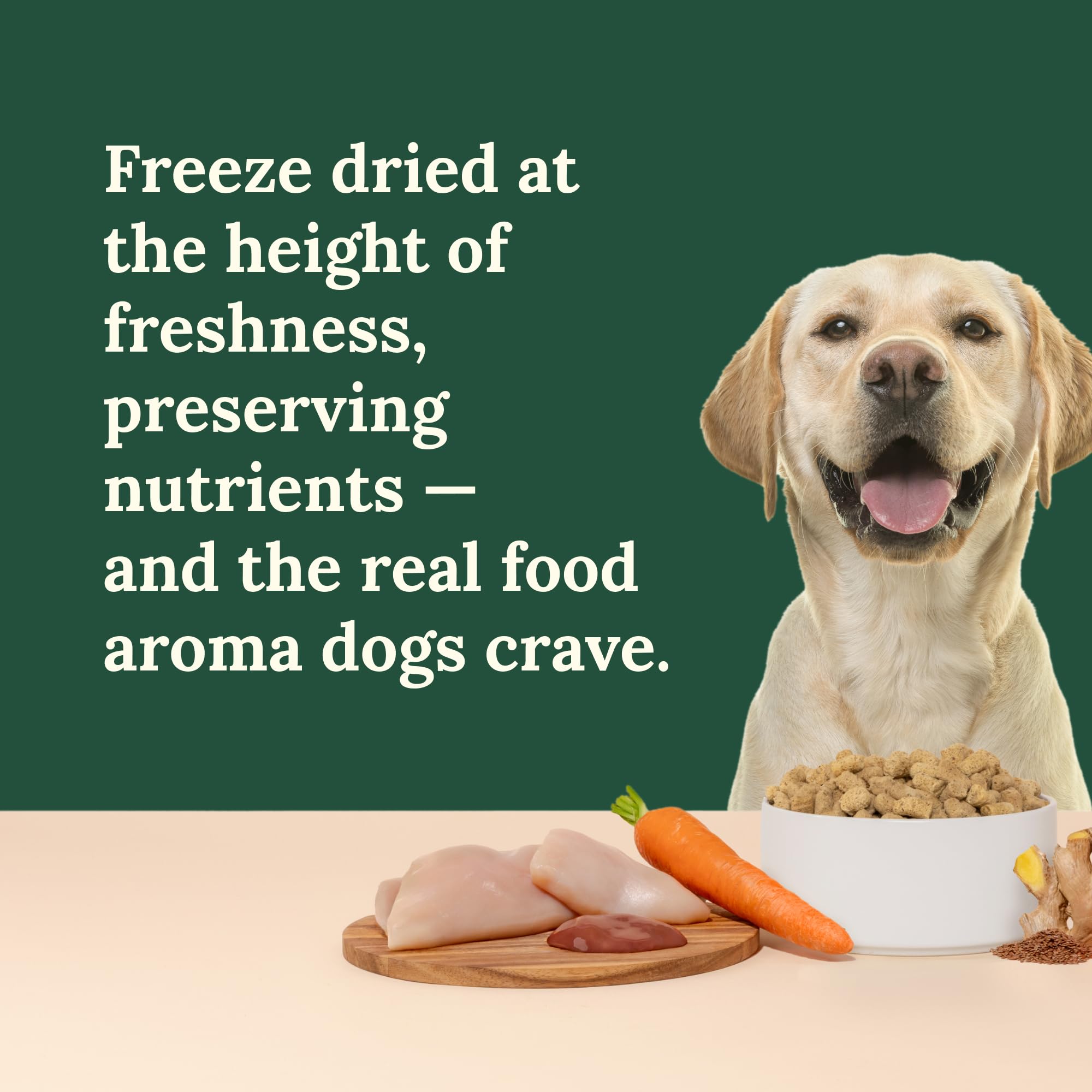 360 Pet Nutrition omega-3 rich mixture—supports a healthy coat and overall vitality.