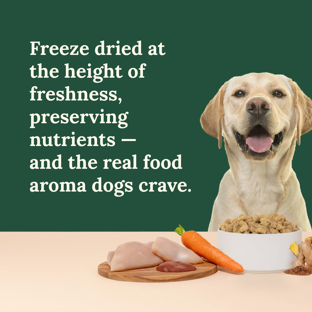 360 Pet Nutrition omega-3 rich mixture—supports a healthy coat and overall vitality.