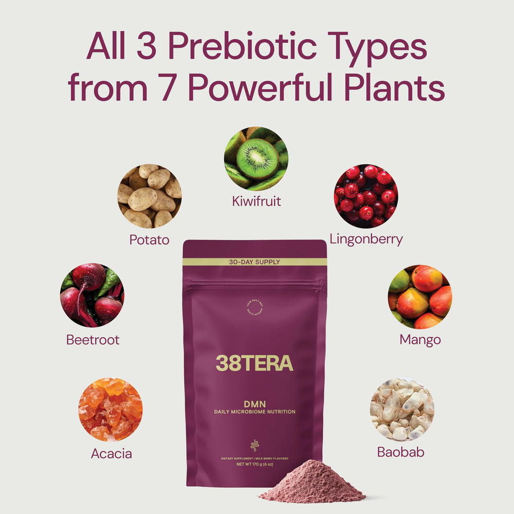 38TERA DMN glass with smoothie shows convenient daily gut-friendly nourishment