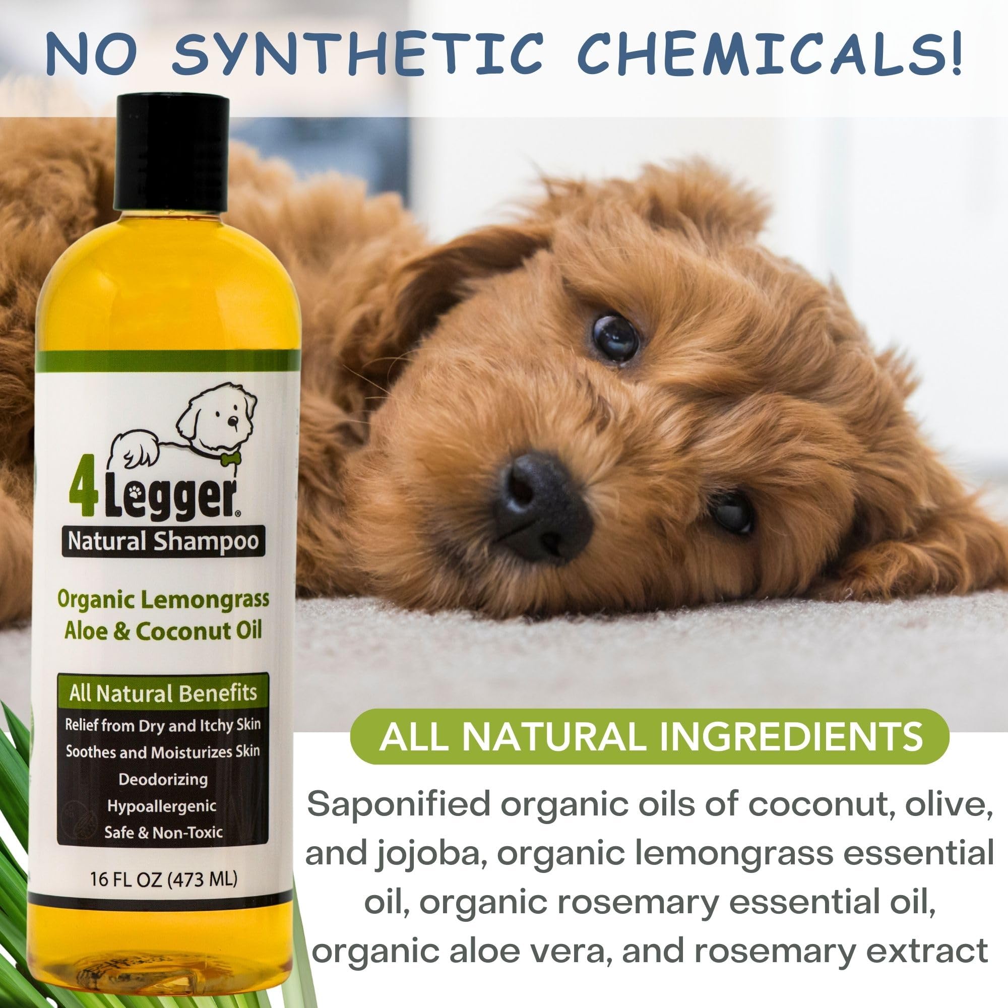 4Legger concentrated formula bottle highlights efficiency