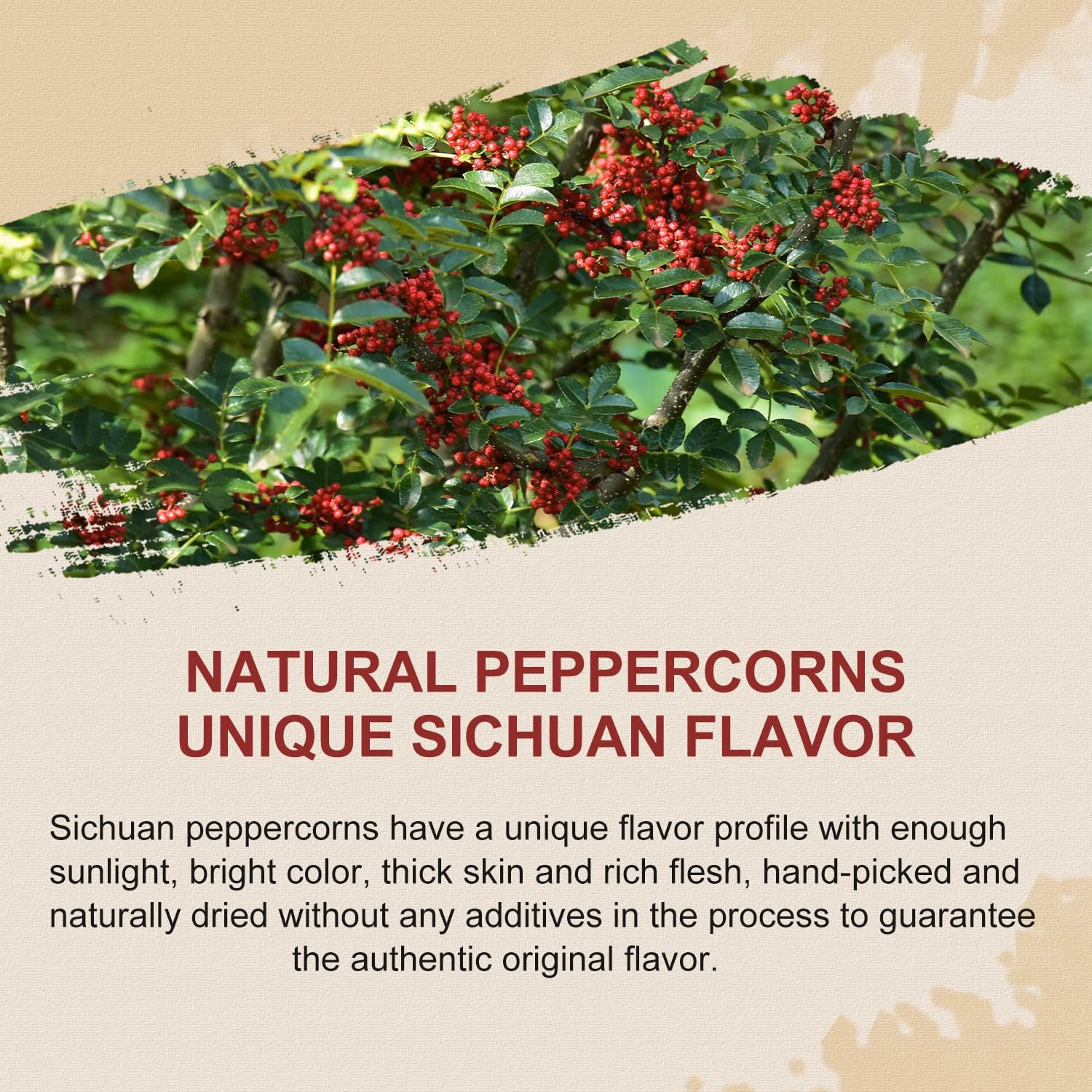 52USA Sichuan peppercorns, ground option ready to season sauces and marinades.