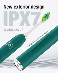 7AM2M Sonic Toothbrush Peacock Green built in timer guiding quadrant brushing