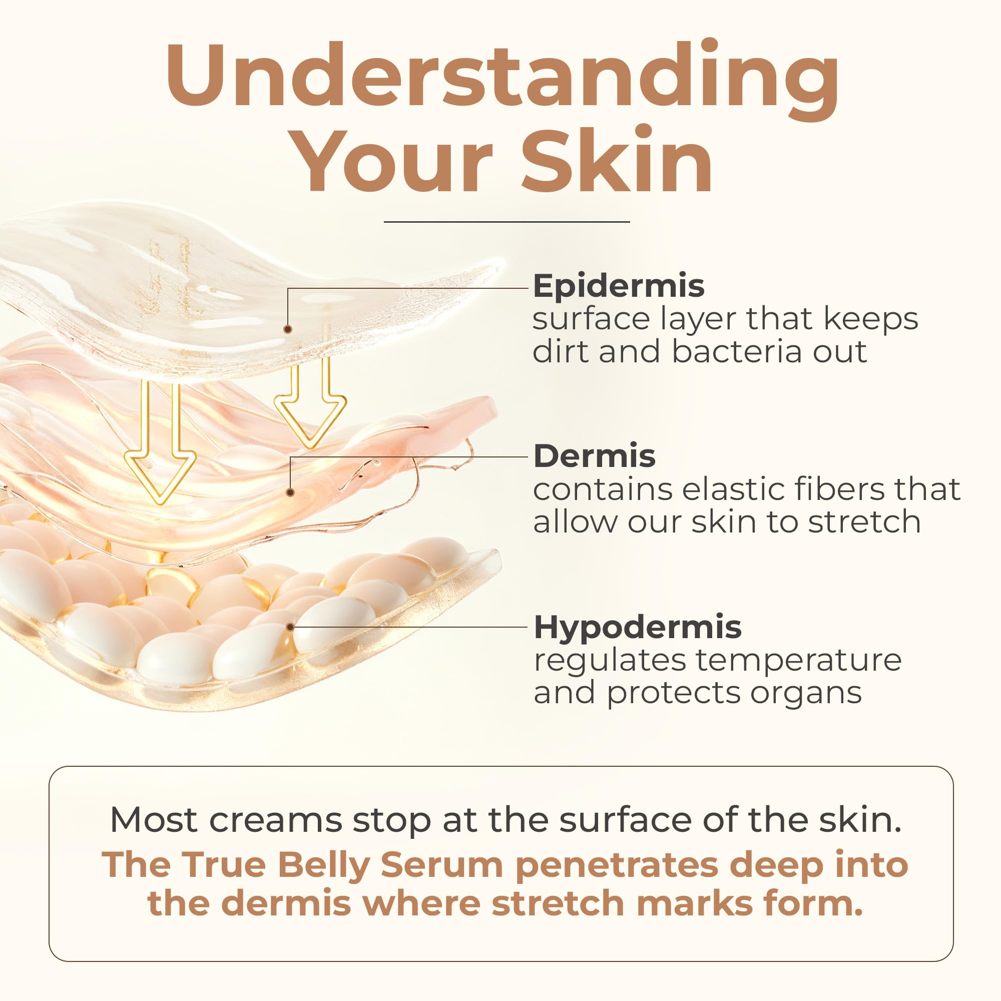 Hands applying 8 Sheep Organics True Belly Serum on belly nourishes skin during pregnancy.