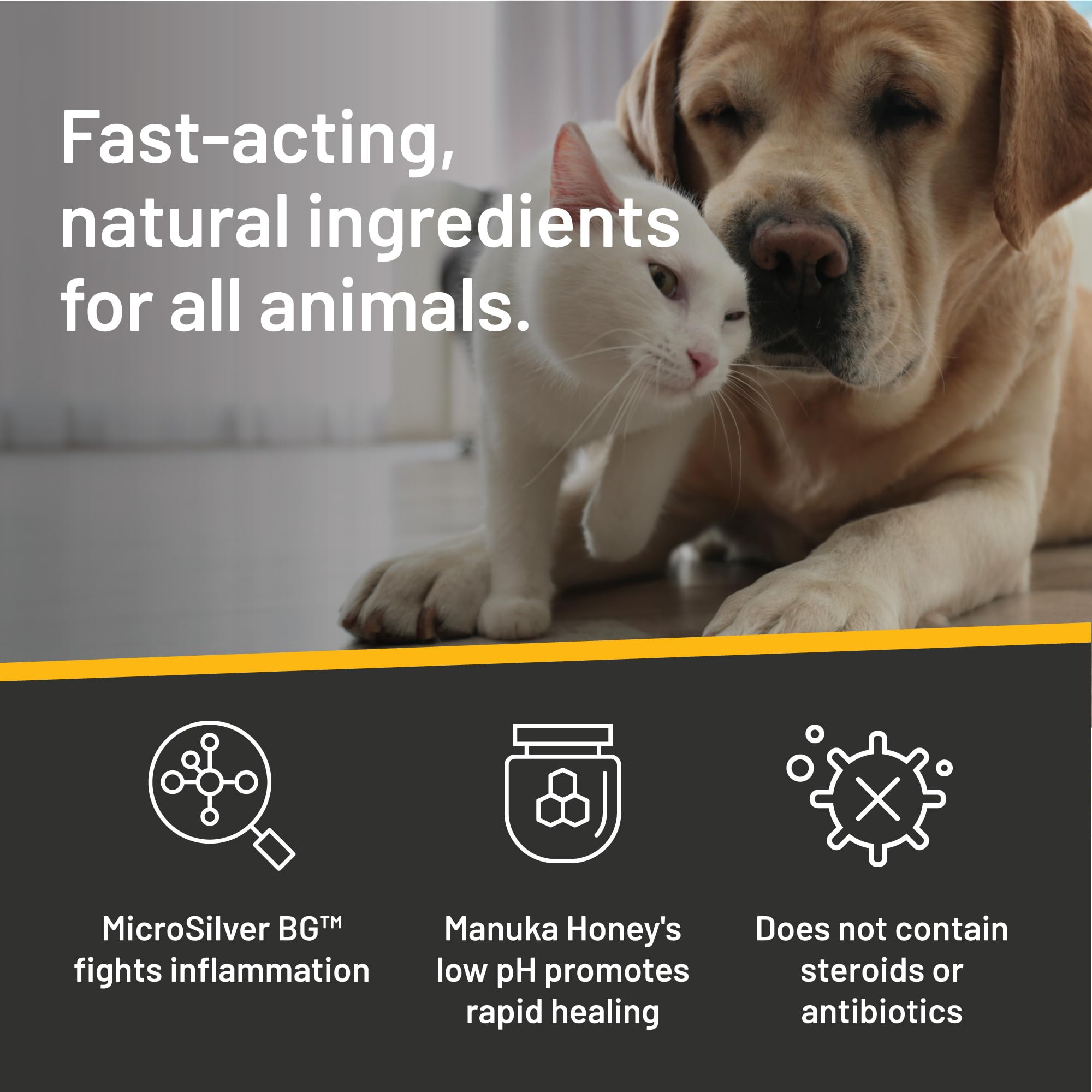 Absorbine Silver Honey on cat fur illustrates gentle wound care