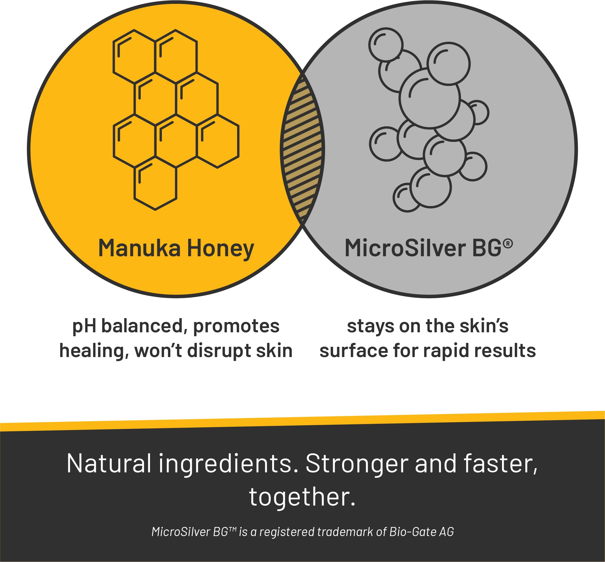 Absorbine Silver Honey application on dog paw demonstrates soothing topical care
