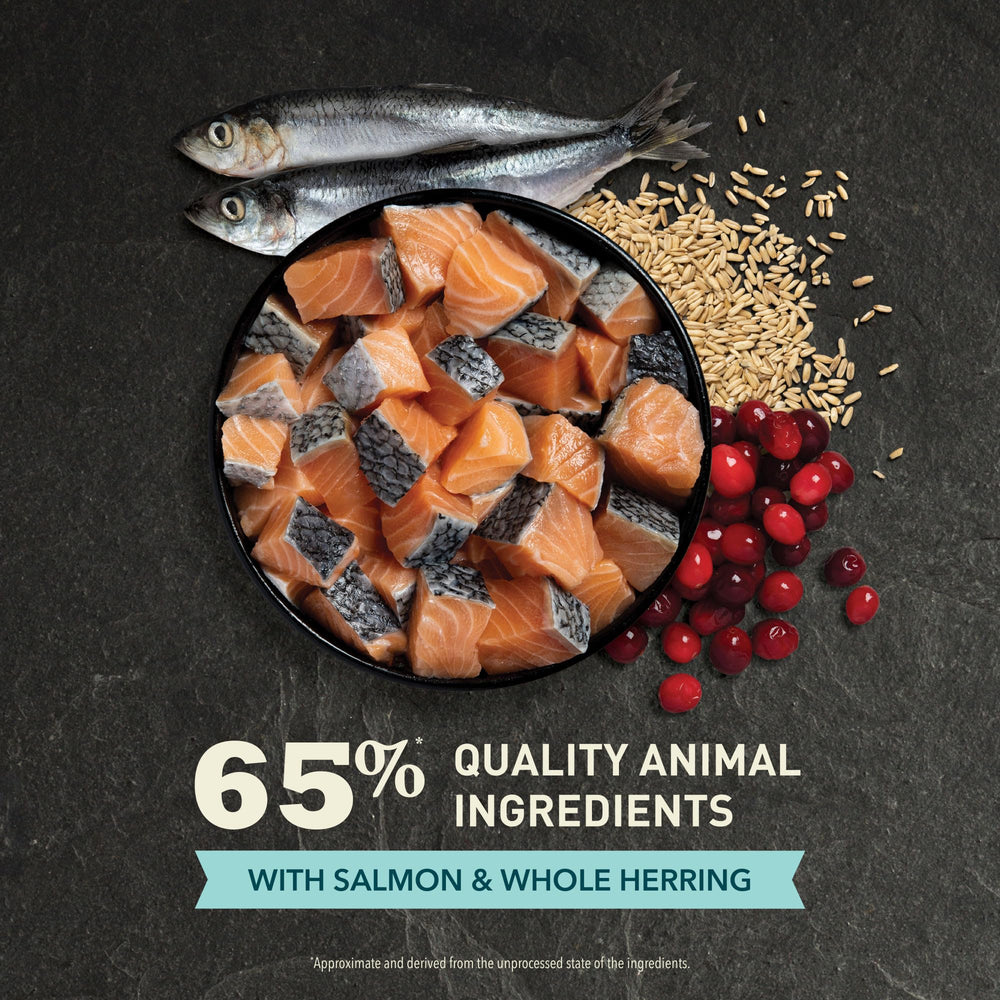ACANA Bountiful Catch omega fats icon indicating skin and coat support potential