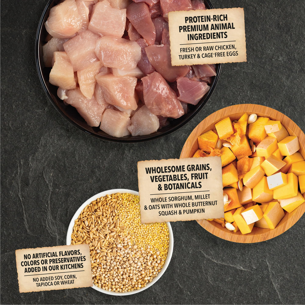 ACANA fiber-rich grains support steady digestion alongside tasty bites.