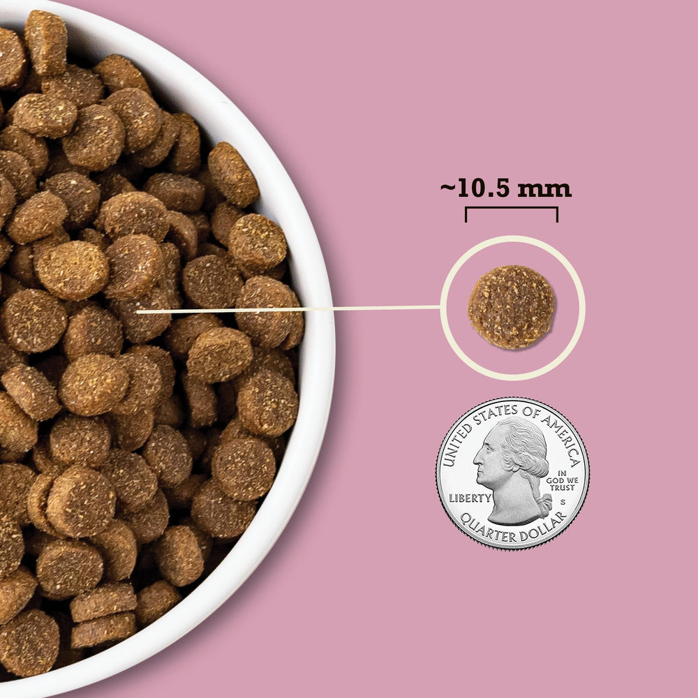 ACANA grains-oats-sorghum-millet blend supports fiber-rich nutrition for dogs.