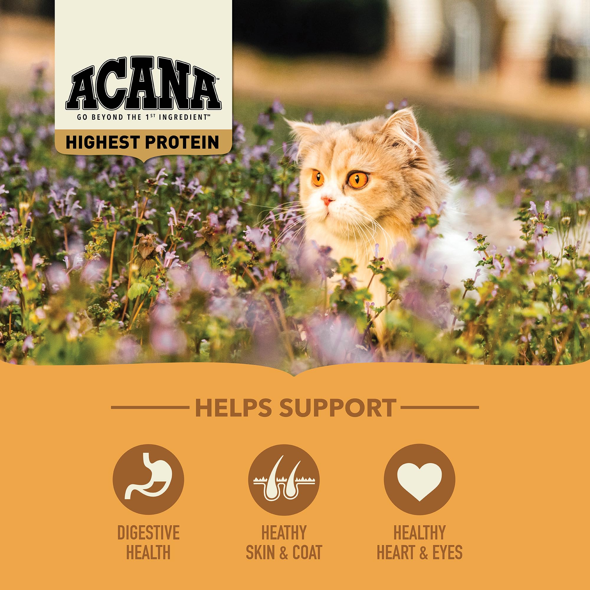ACANA Meadowlands kibble featuring free-run chicken and turkey