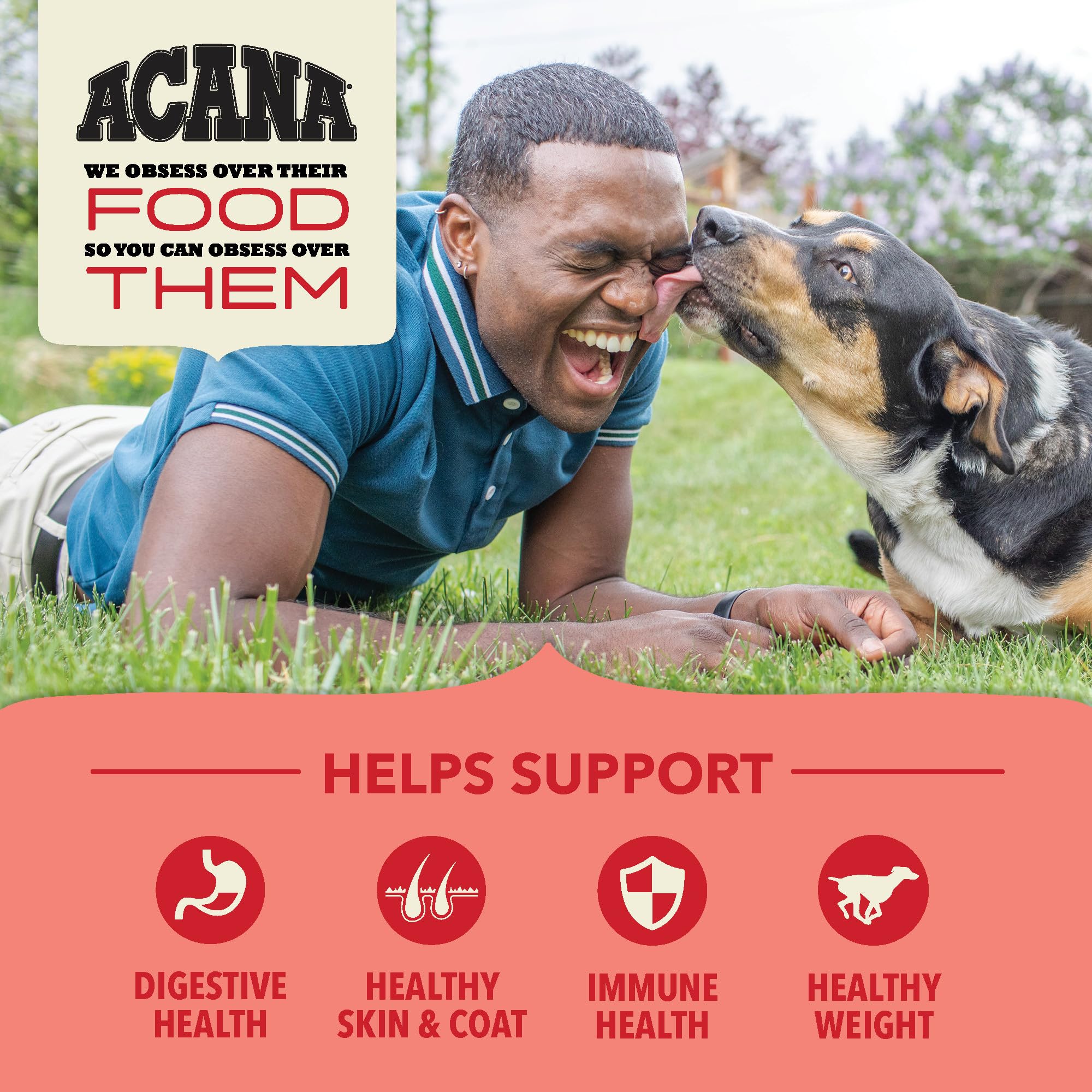 ACANA Wholesome Grains grain blend with oats sorghum and millet supports digestion.