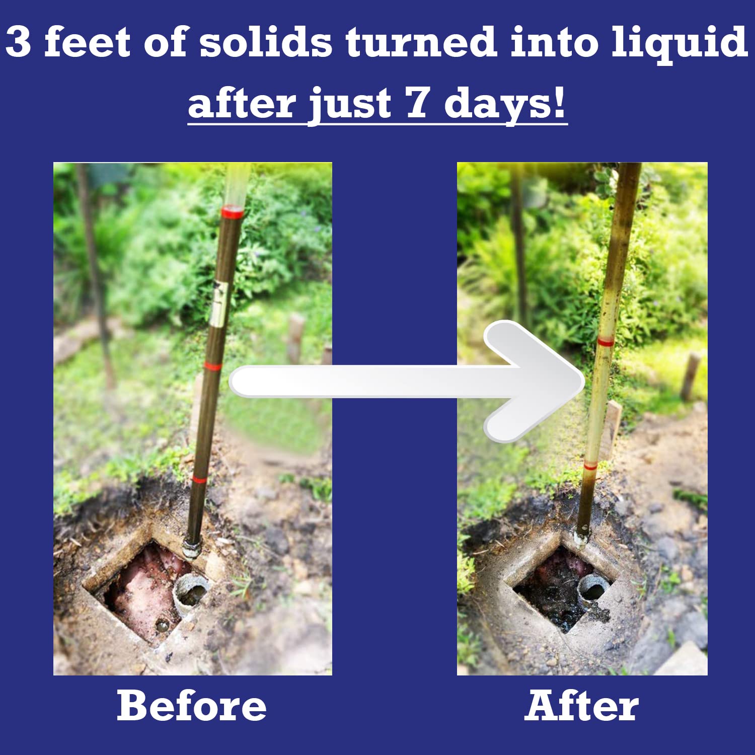 Accelerator by Dr. Pooper-commercial-origin-graphic signals professional-grade septic care.