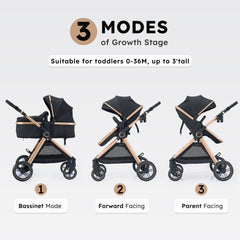 Accombe 2 in 1 stroller bassinet rear-facing view for parent-facing strolls