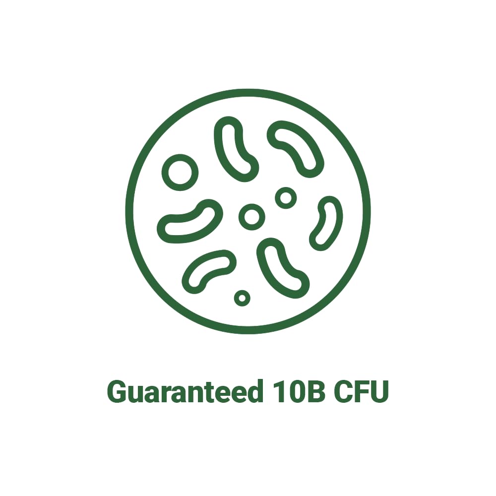 AceBiome BNRThin S30 prebiotic FOS included supports gut-friendly bacteria