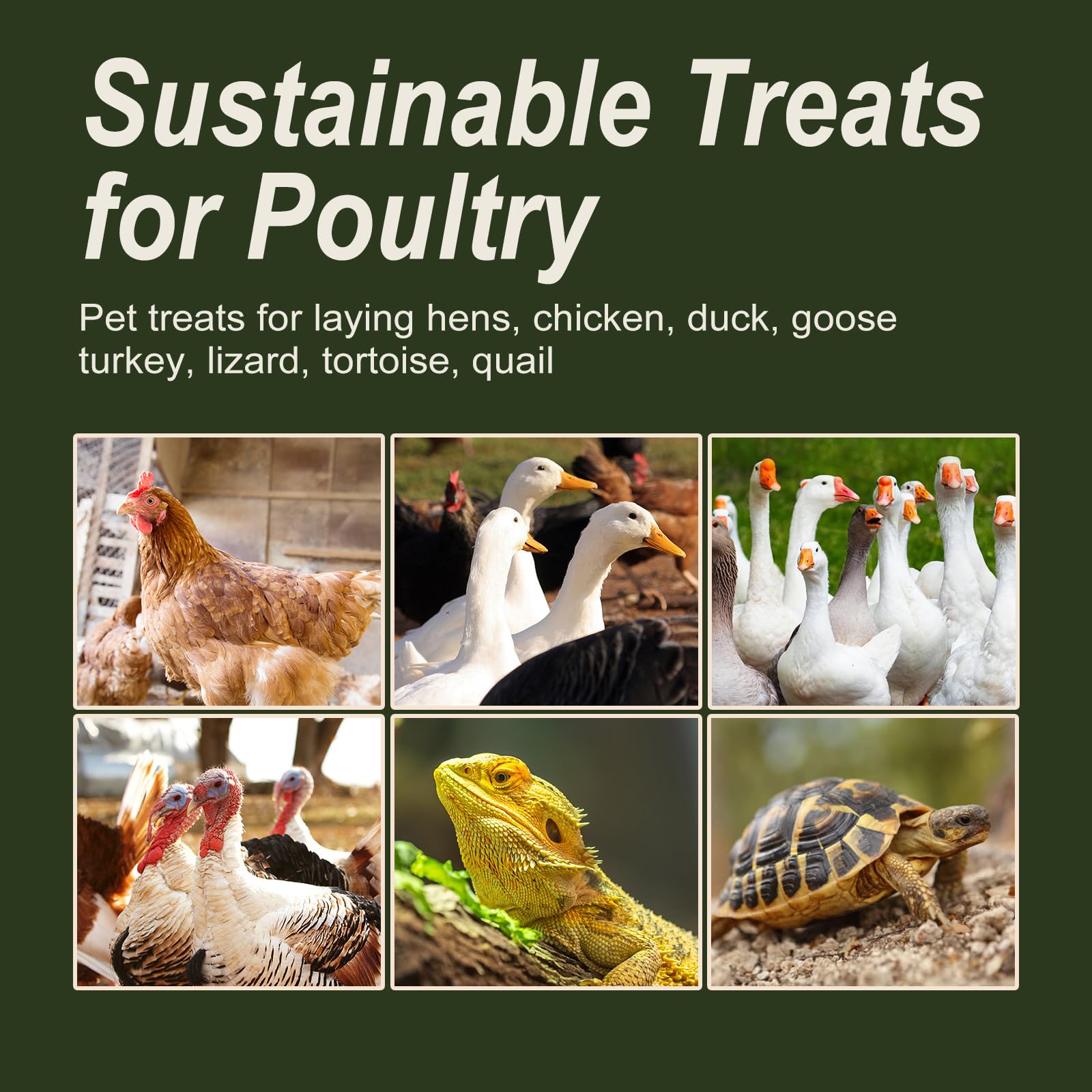 Bulk bag ready to use, convenient for frequent feeding sessions.