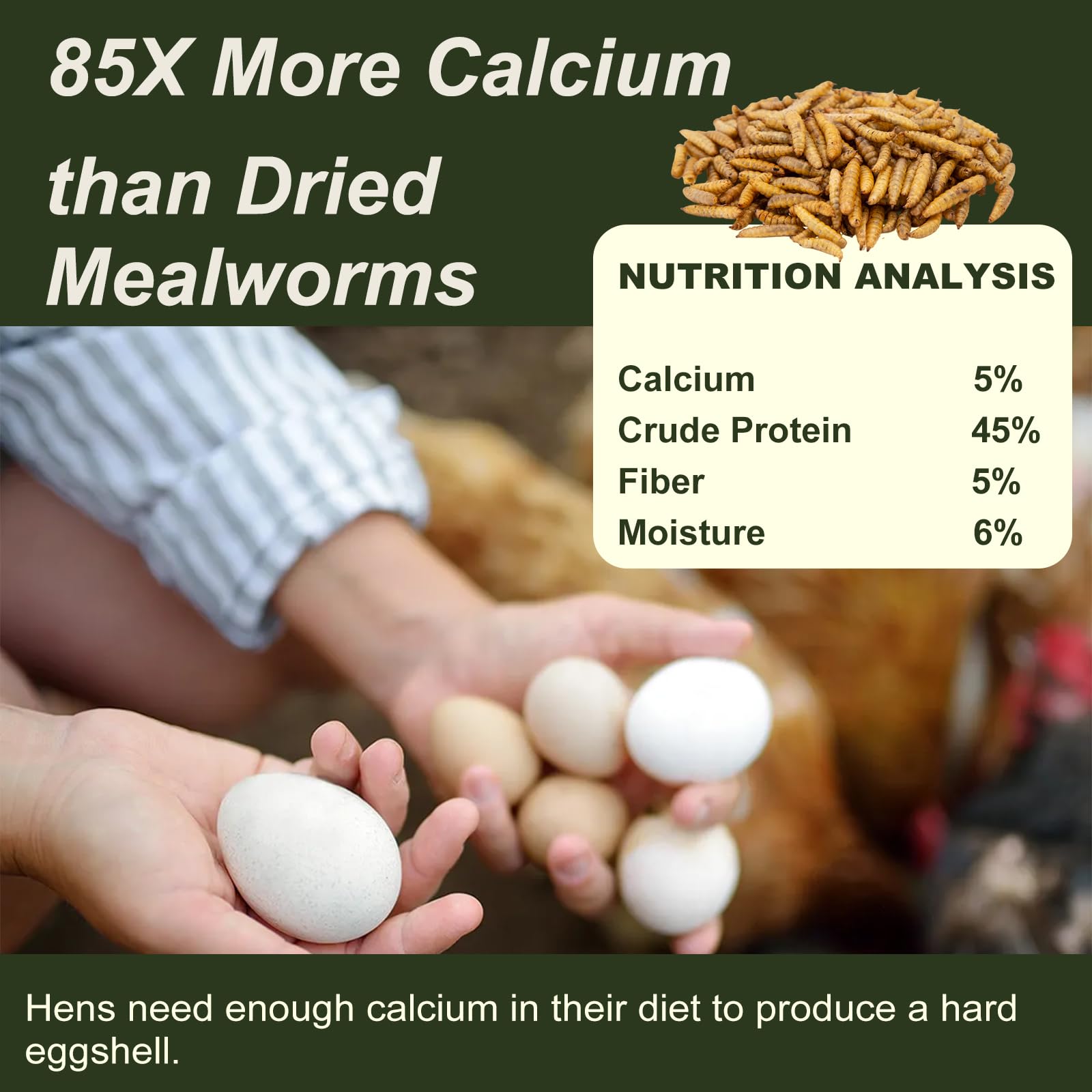 Calcium-rich Adaman BSF larvae image emphasizing mineral support for hens.