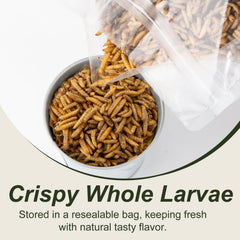 Adaman BSF larvae sprinkled on feed as a protein-rich topper for poultry.
