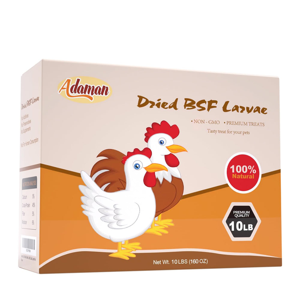 Adaman BSF larvae beside measuring cup for portion control and planning.