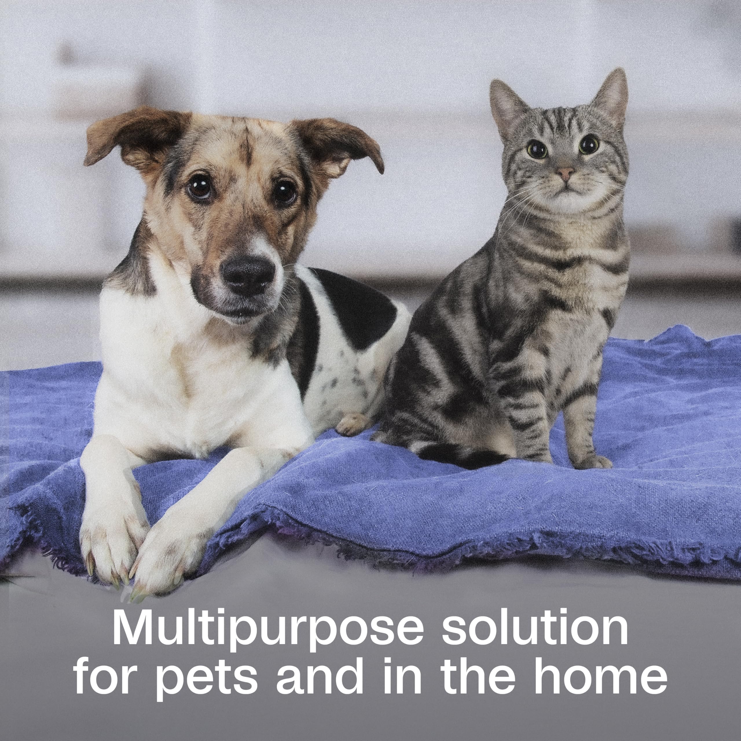 ADAMS Botanicals spray on a cat to repel fleas and ticks