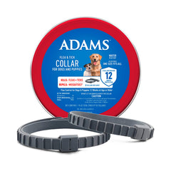 ADAMS flea and tick collar worn by a dog, two-pack protects all year.