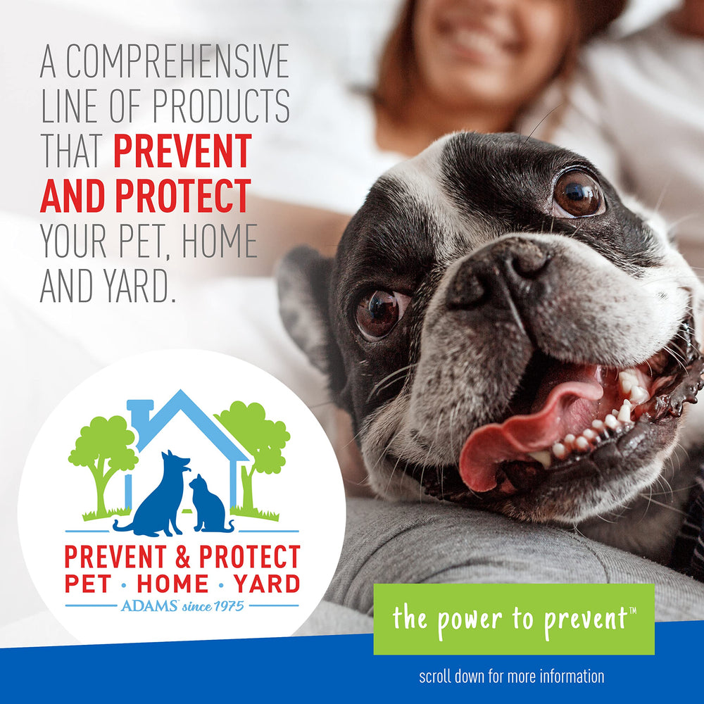 ADAMS spray in living room areas where pests hide