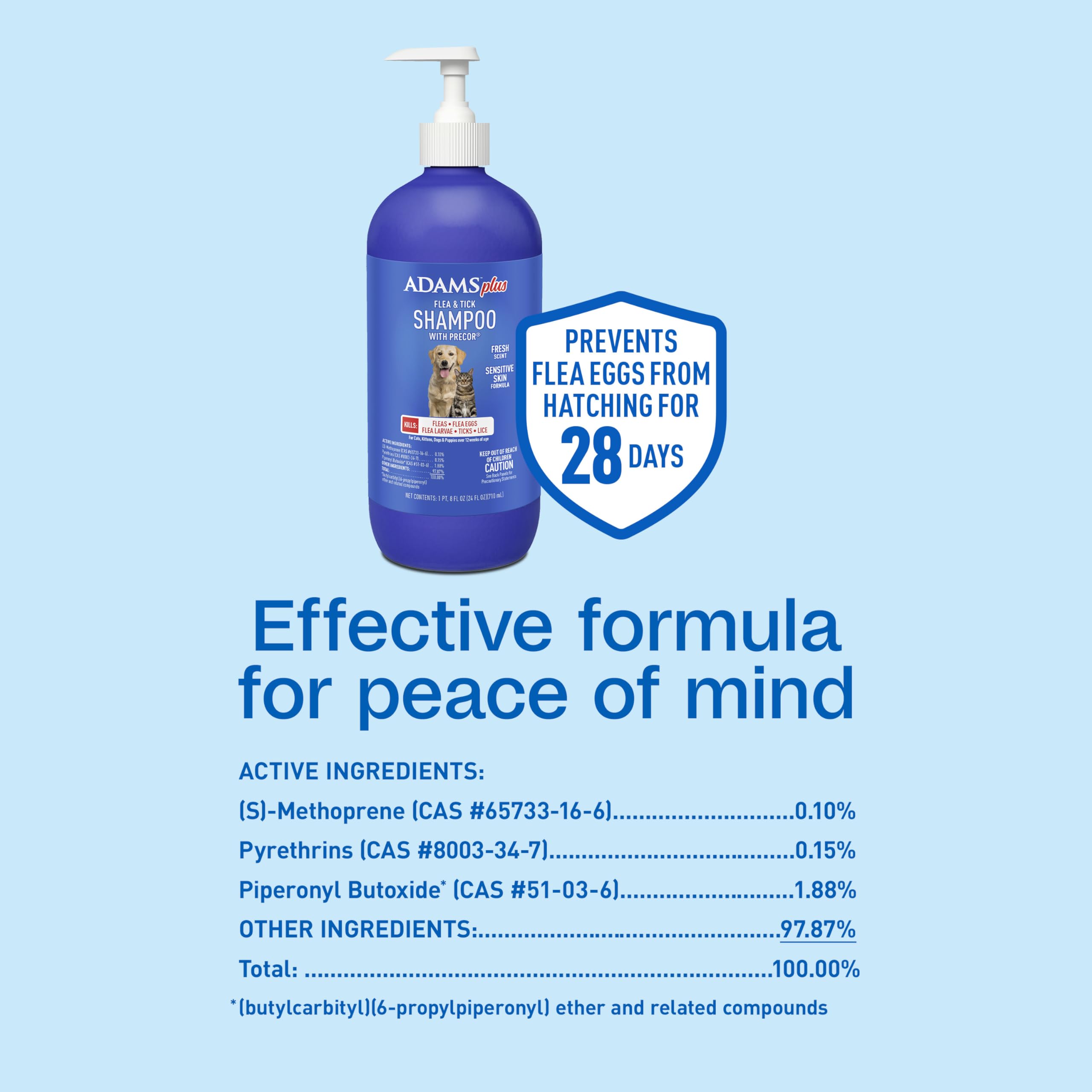 Step-by-step application of ADAMS Plus shampoo during grooming.
